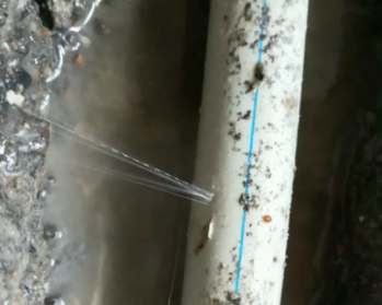 镇海卫生间测漏水多少钱