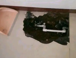 镇海卫生间测漏水多少钱